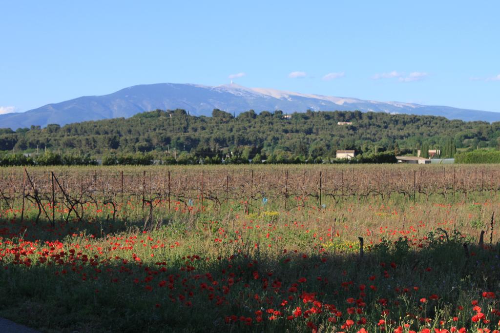 Gite Les Feuilles De Chene Βίλα Carpentras Εξωτερικό φωτογραφία